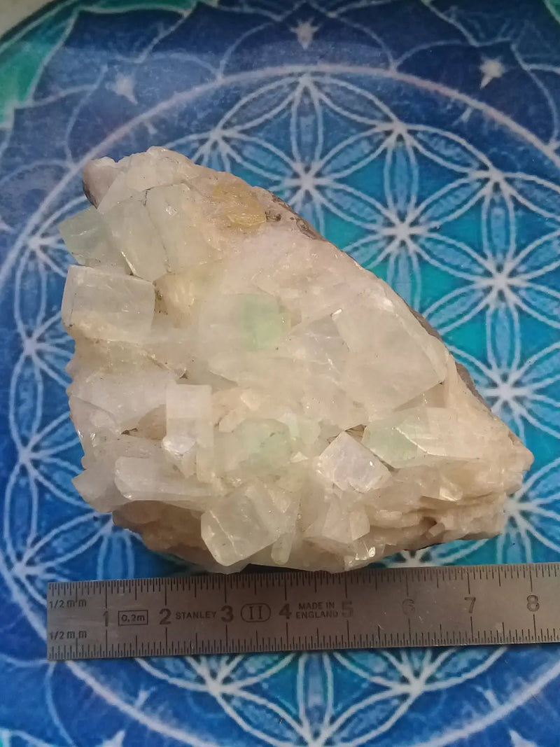 Chargez l&#39;image dans la visionneuse de la galerie, Apophylite verte et blanche Grade A ++++ pièce de Collection Apophylite verte et blanche

