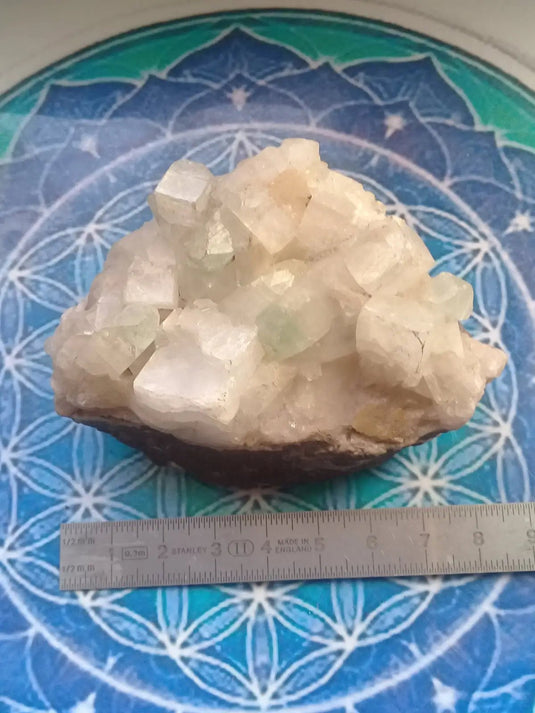 Apophylite verte et blanche Grade A ++++ pièce de Collection Apophylite verte et blanche