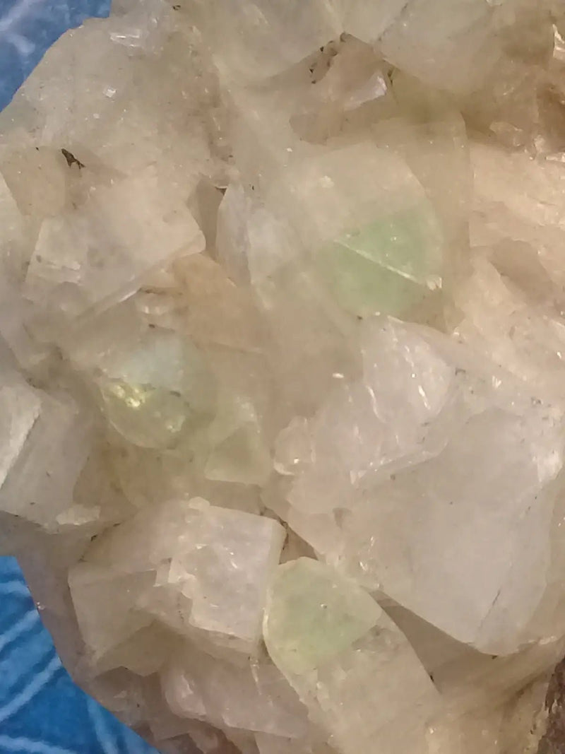 Chargez l&#39;image dans la visionneuse de la galerie, Apophylite verte et blanche Grade A ++++ pièce de Collection Apophylite verte et blanche
