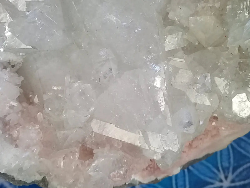 Chargez l&#39;image dans la visionneuse de la galerie, Apophyllite/Rhodochrosite cristallisée Grade A ++++ pièce de Collection Apophyllite sur Rhodochrosite brute cristallisée
