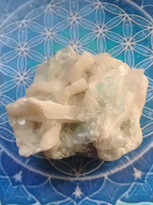 Apophyllite verte et blanche sur Stilbite Grade A ++++ pièce de Collection Apophyllite verte et blanche sur Stilbite