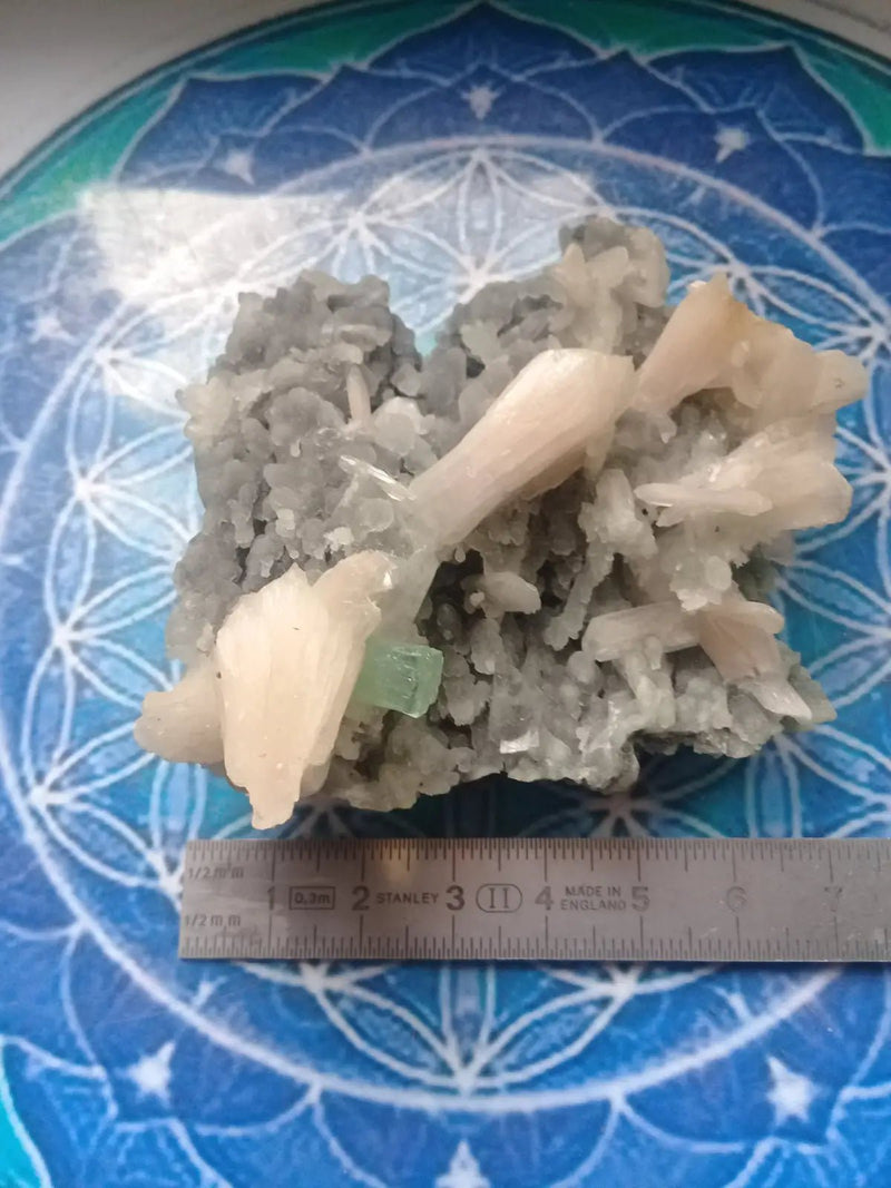 Chargez l&#39;image dans la visionneuse de la galerie, Apophyllite Verte &amp; Stilbite/Calcédoine Grade A ++++ pièce de collection Apophyllite verte cube et Stilbite sur Calcédoine
