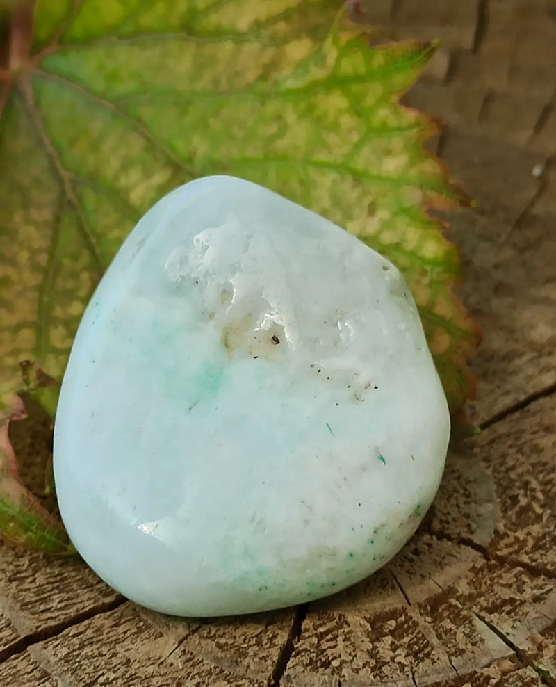 Chargez l&#39;image dans la visionneuse de la galerie, Aragonite Bleue d’Afghanistan - Pierre roulée aspect soyeux - Grade Prémium Aragonite Bleue pierre roulée
