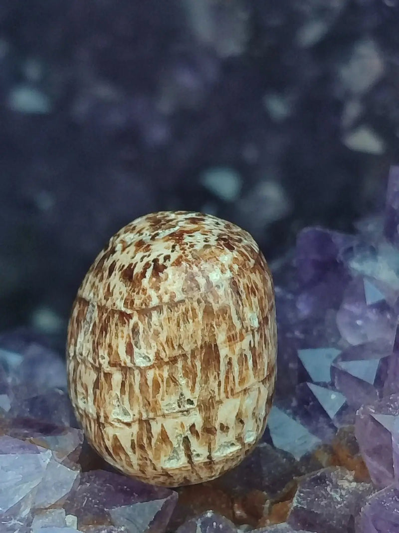 Load image into Gallery viewer, Aragonite rubanée de la région de Tazouta Maroc - Pierre roulée - Grade Prémium Aragonite rubanée pierre roulée
