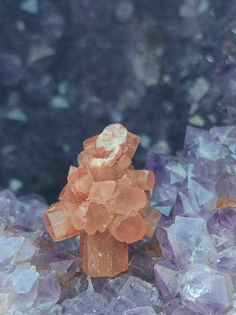 Load image into Gallery viewer, Aragonite Spoutnik de Minglanilla (Espagne) - Pierre brute - Grade Prémium Aragonite Spoutnik pierre brute
