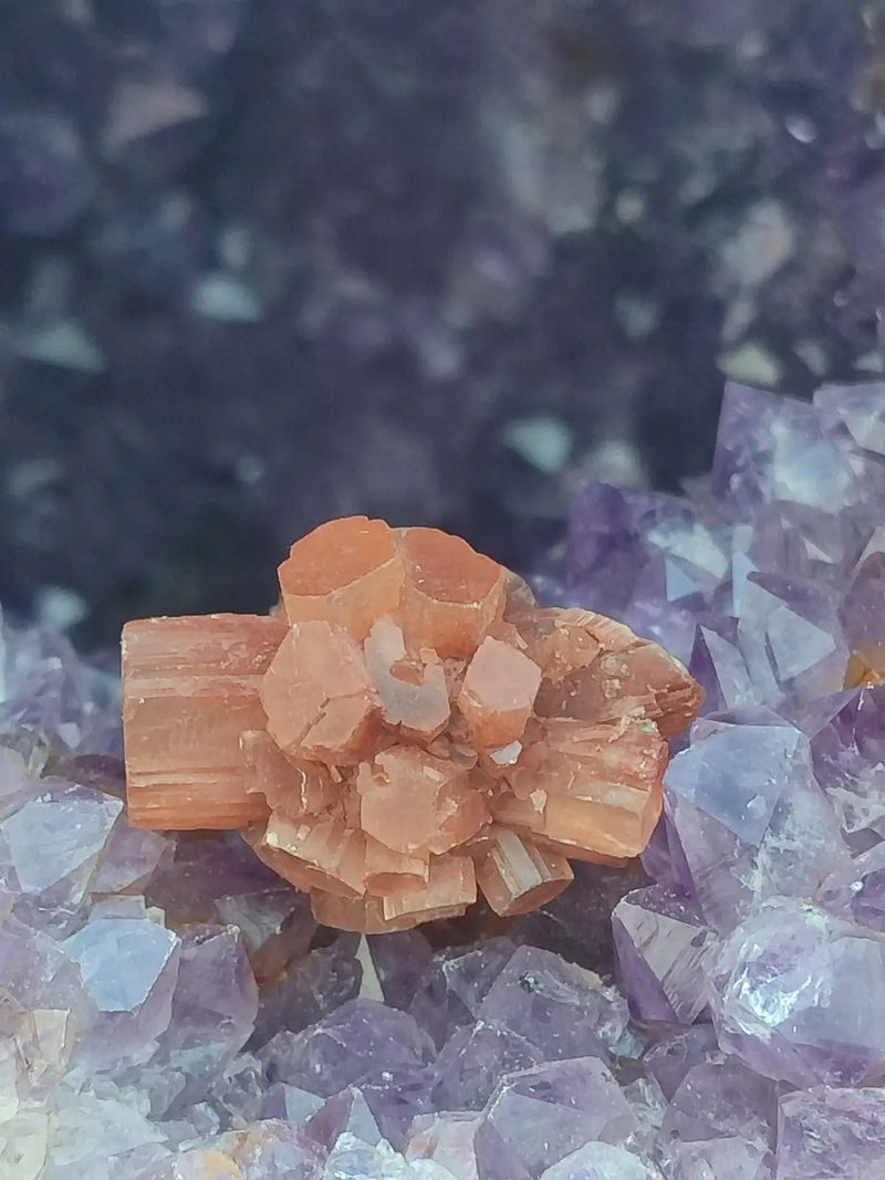 Load image into Gallery viewer, Aragonite Spoutnik de Minglanilla (Espagne) - Pierre brute - Grade Prémium Aragonite Spoutnik pierre brute
