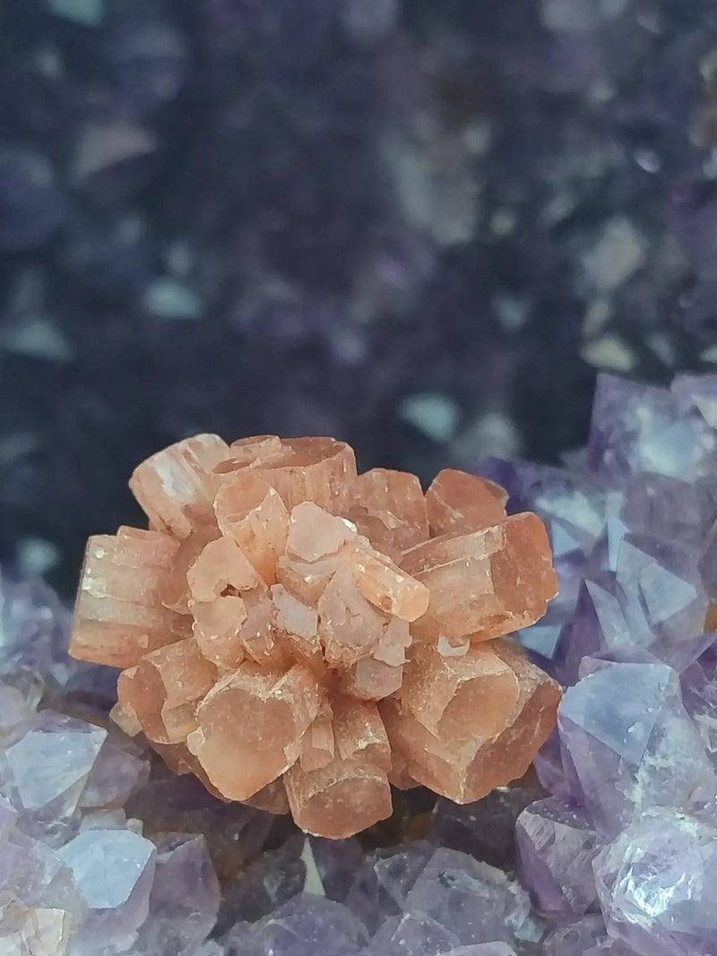 Load image into Gallery viewer, Aragonite Spoutnik de Minglanilla (Espagne) - Pierre brute - Grade Prémium Aragonite Spoutnik pierre brute
