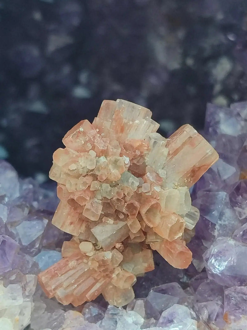 Chargez l&#39;image dans la visionneuse de la galerie, Aragonite Spoutnik de Minglanilla (Espagne) - Pierre brute - Grade Prémium Aragonite Spoutnik pierre brute
