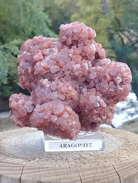Aragonite Spoutnik de Tazouta Région de Fès-Meknès Maroc - Pierre brute - Grade Prémium Aragonite Spoutnik sur socle