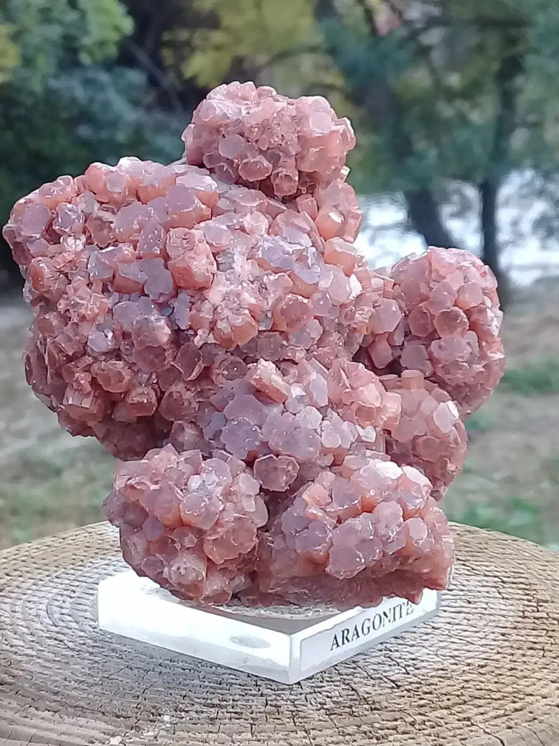 Chargez l&#39;image dans la visionneuse de la galerie, Aragonite Spoutnik de Tazouta Région de Fès-Meknès Maroc - Pierre brute - Grade Prémium Aragonite Spoutnik sur socle

