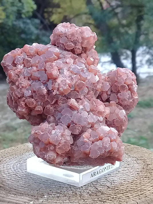 Aragonite Spoutnik de Tazouta Région de Fès-Meknès Maroc - Pierre brute - Grade Prémium Aragonite Spoutnik sur socle