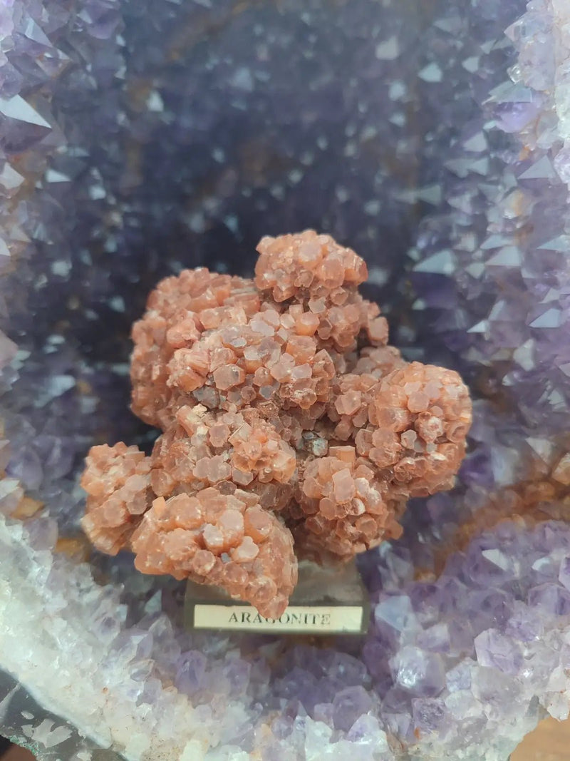 Chargez l&#39;image dans la visionneuse de la galerie, Aragonite Spoutnik de Tazouta Région de Fès-Meknès Maroc - Pierre brute - Grade Prémium Aragonite Spoutnik sur socle
