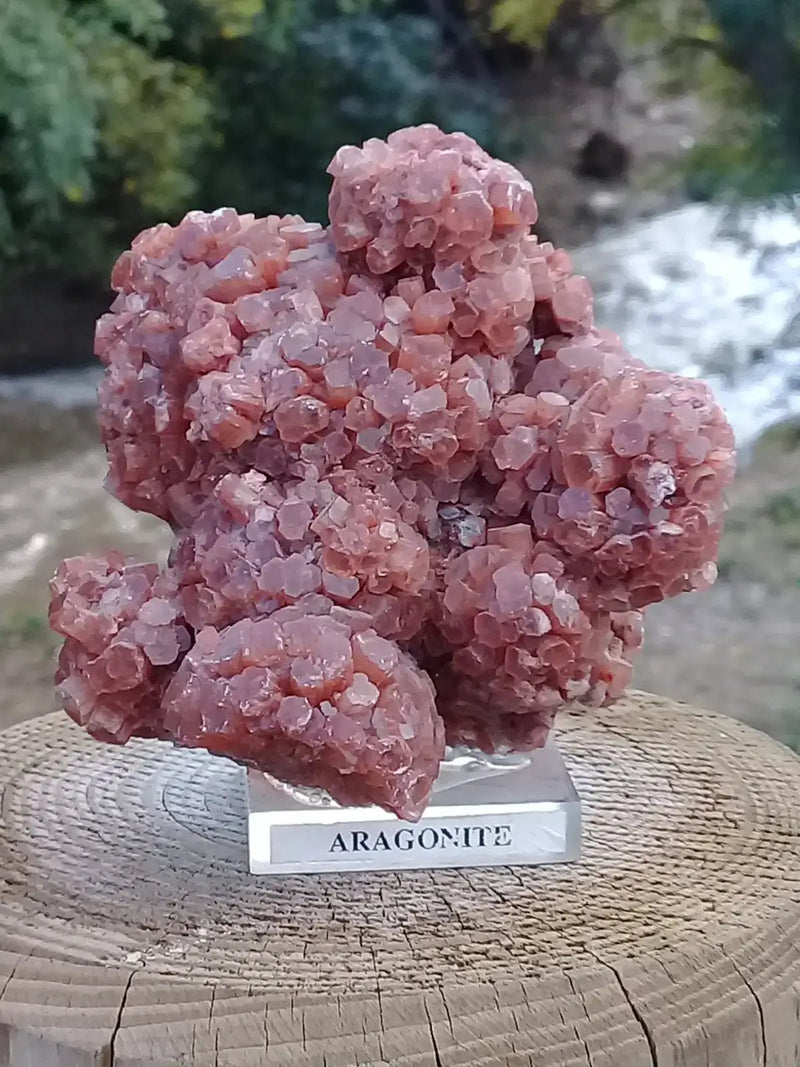 Chargez l&#39;image dans la visionneuse de la galerie, Aragonite Spoutnik de Tazouta Région de Fès-Meknès Maroc - Pierre brute - Grade Prémium Aragonite Spoutnik sur socle
