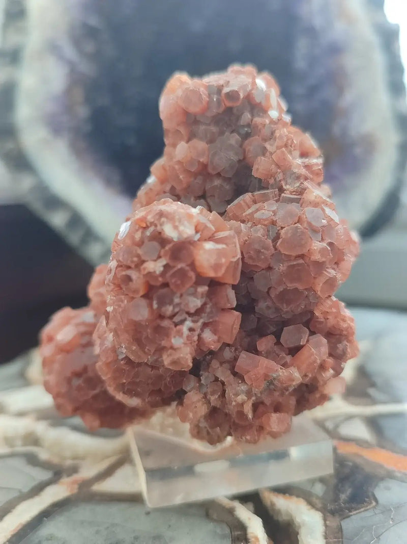 Chargez l&#39;image dans la visionneuse de la galerie, Aragonite Spoutnik de Tazouta Région de Fès-Meknès Maroc - Pierre brute - Grade Prémium Aragonite Spoutnik sur socle
