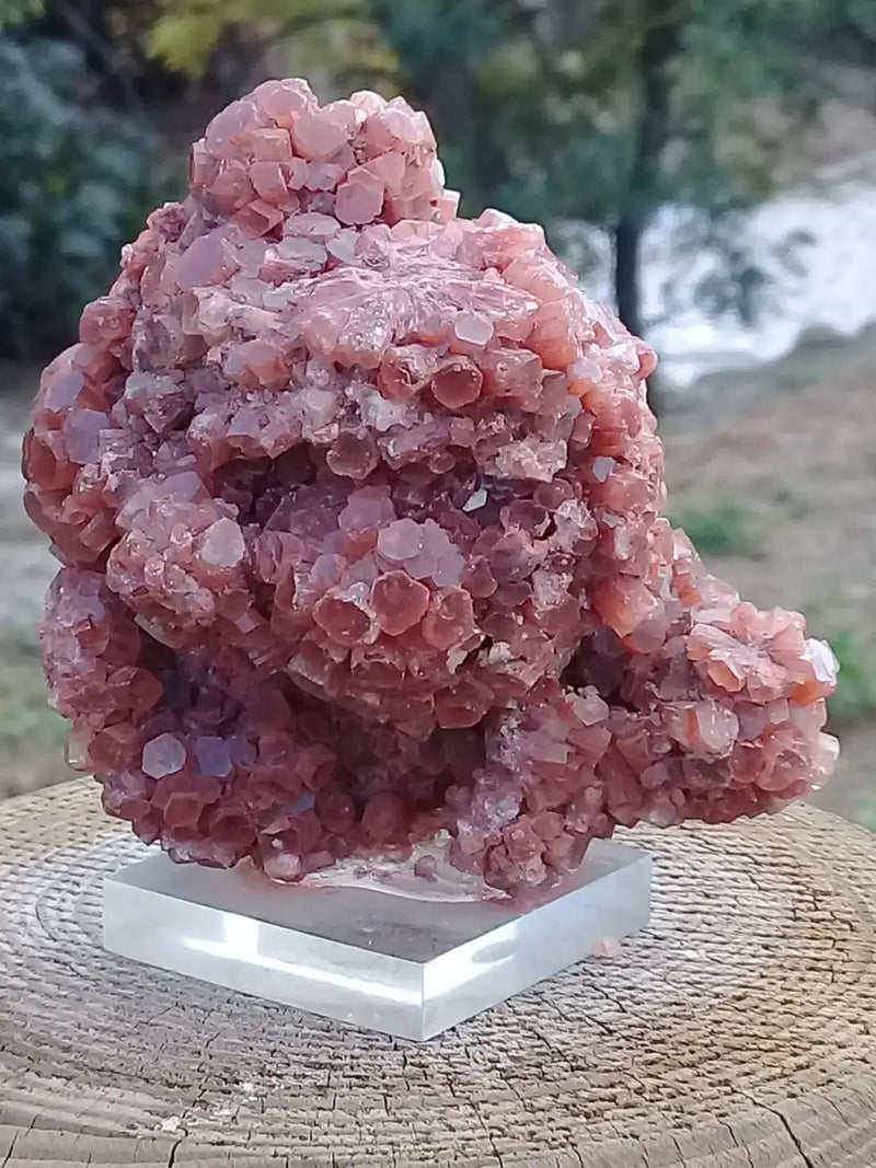 Chargez l&#39;image dans la visionneuse de la galerie, Aragonite Spoutnik de Tazouta Région de Fès-Meknès Maroc - Pierre brute - Grade Prémium Aragonite Spoutnik sur socle

