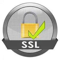 Badge de sécurité SSL circulaire argenté avec un cadenas doré et une coche verte.