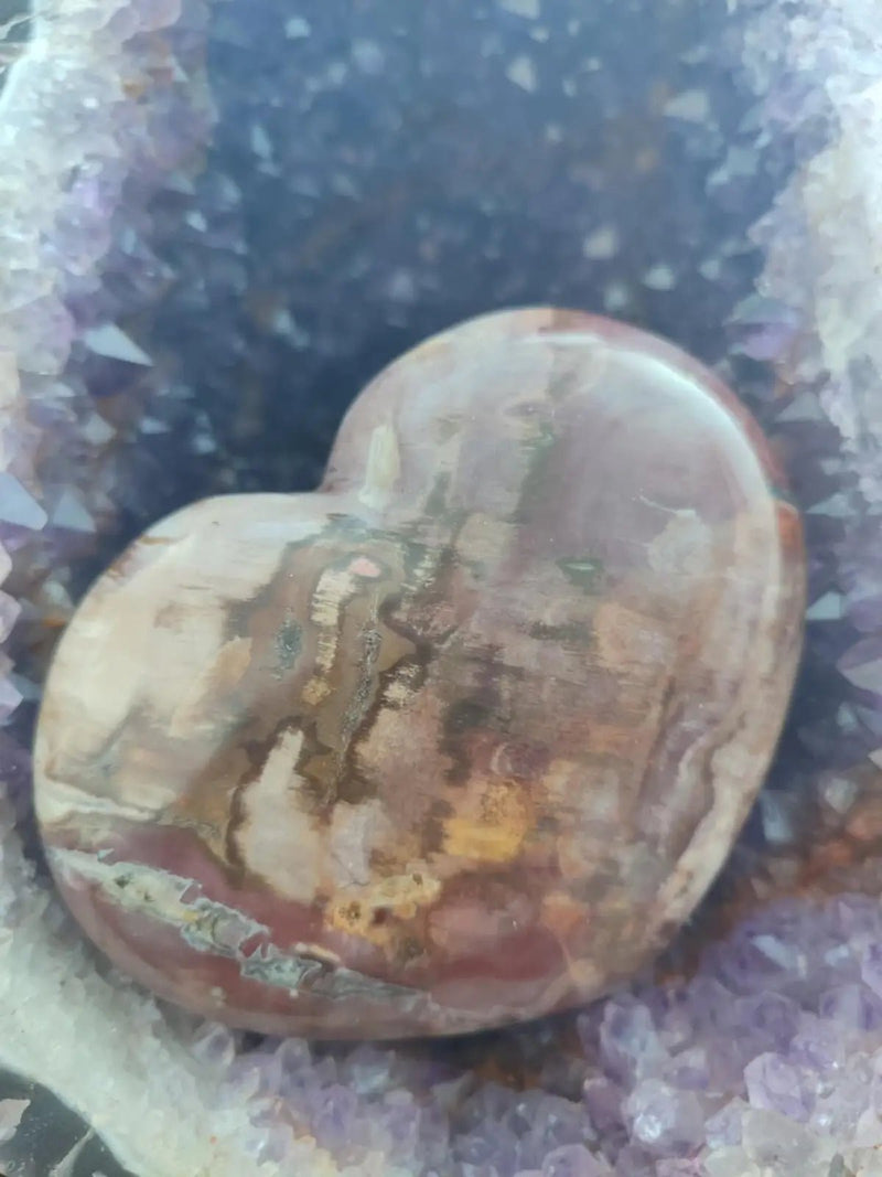 Load image into Gallery viewer, Bois fossile de Petrified Forest National Park Arizona USA - Cœur Grade Prémium - 1kg Bois fossile Cœur
