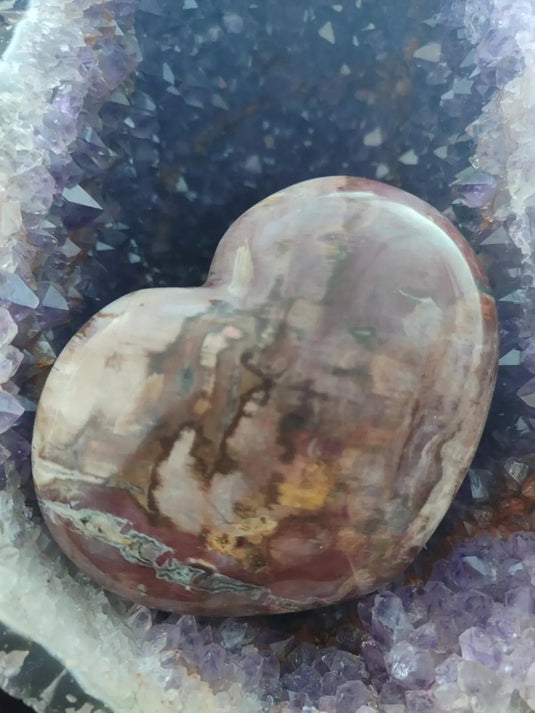 Bois fossile de Petrified Forest National Park Arizona USA - Cœur Grade Prémium - 1kg Bois fossile Cœur