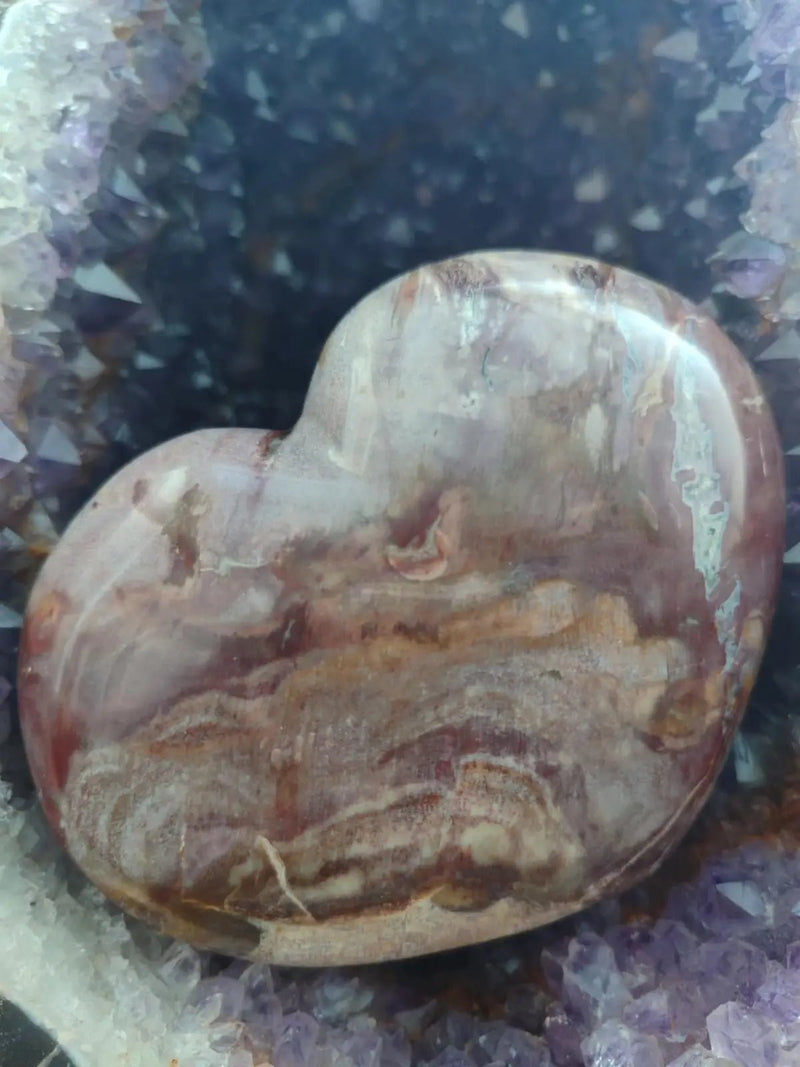 Load image into Gallery viewer, Bois fossile de Petrified Forest National Park Arizona USA - Cœur Grade Prémium - 1kg Bois fossile Cœur
