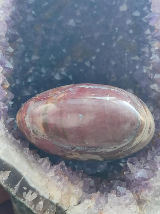 Bois fossile de Petrified Forest National Park Arizona USA - Cœur Grade Prémium - 1kg Bois fossile Cœur