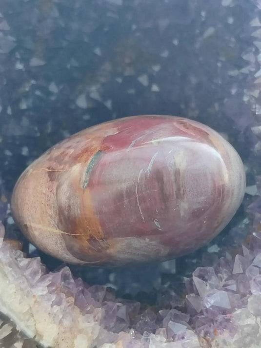 Bois fossile de Petrified Forest National Park Arizona USA - Cœur Grade Prémium - 1kg Bois fossile Cœur