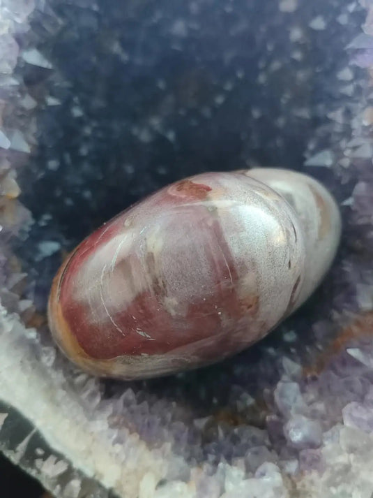 Bois fossile de Petrified Forest National Park Arizona USA - Cœur Grade Prémium - 1kg Bois fossile Cœur