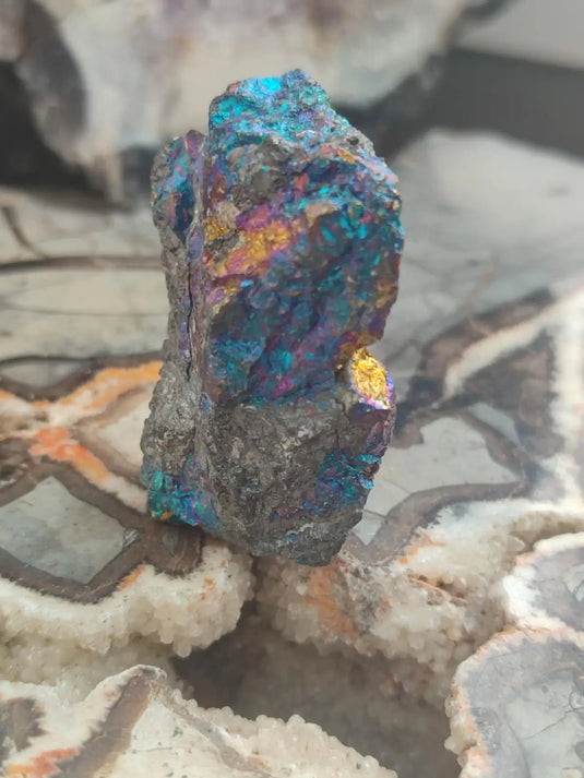 Bornite de Butte Montana - Pierre brute - Grade Prémium - Pierre de Transformation Bornite iridescente du Montana