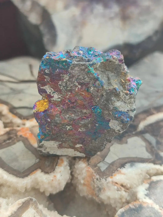 Bornite de Butte Montana - Pierre brute - Grade Prémium - Pierre de Transformation Bornite iridescente du Montana