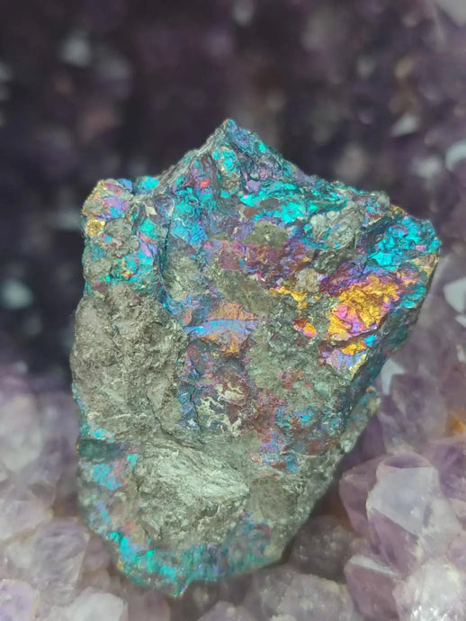 Bornite de Butte Montana - Pierre brute - Grade Prémium - Pierre de Transformation Bornite iridescente du Montana