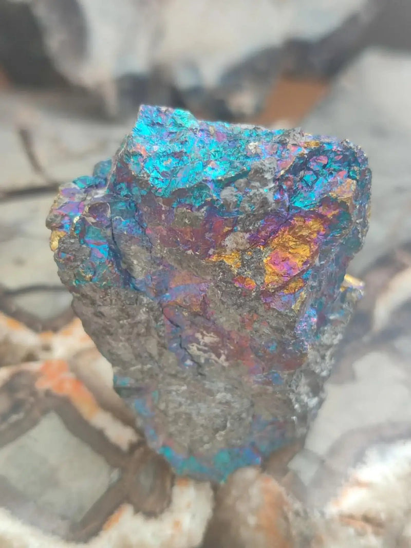 Chargez l&#39;image dans la visionneuse de la galerie, Bornite de Butte Montana - Pierre brute - Grade Prémium - Pierre de Transformation Bornite iridescente du Montana
