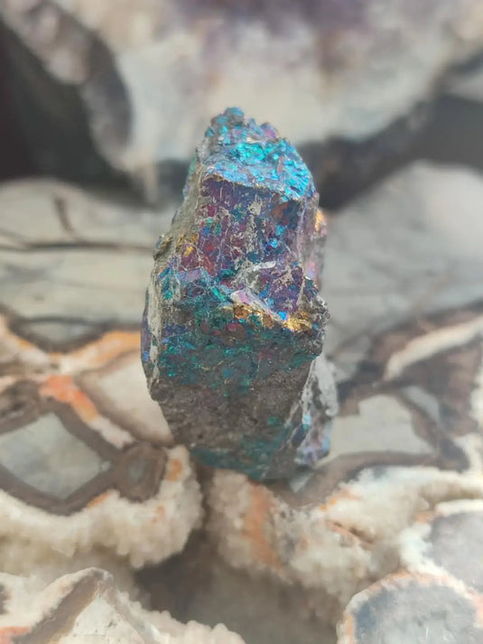 Bornite de Butte Montana - Pierre brute - Grade Prémium - Pierre de Transformation Bornite iridescente du Montana
