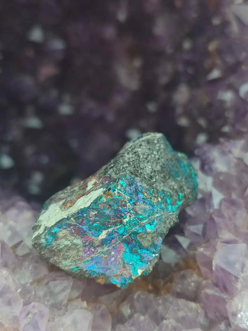 Chargez l&#39;image dans la visionneuse de la galerie, Bornite de Butte Montana - Pierre brute - Grade Prémium - Pierre de Transformation Bornite iridescente du Montana
