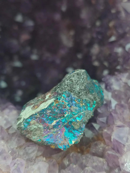 Bornite de Butte Montana - Pierre brute - Grade Prémium - Pierre de Transformation Bornite iridescente du Montana