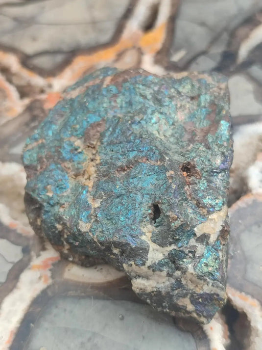 Bornite de Butte Montana - Pierre brute - Grade Prémium - Pierre de Transformation Bornite iridescente du Montana