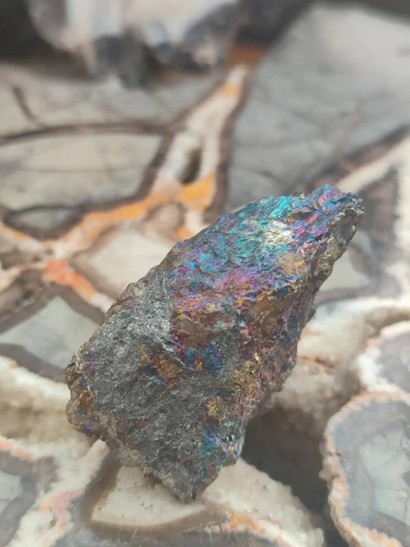 Chargez l&#39;image dans la visionneuse de la galerie, Bornite de Butte Montana - Pierre brute - Grade Prémium - Pierre de Transformation Bornite iridescente du Montana
