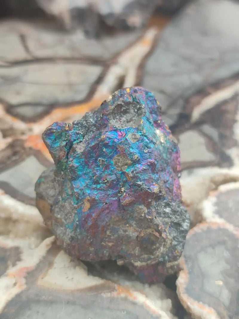 Chargez l&#39;image dans la visionneuse de la galerie, Bornite de Butte Montana - Pierre brute - Grade Prémium - Pierre de Transformation Bornite iridescente du Montana
