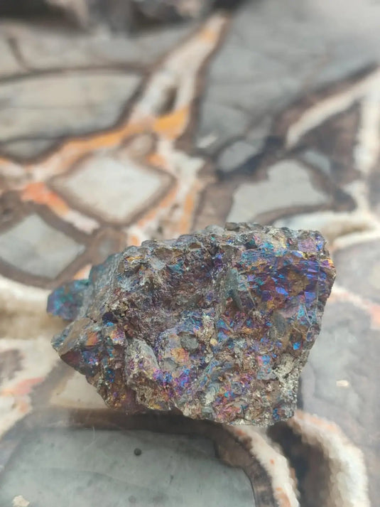 Bornite de Butte Montana - Pierre brute - Grade Prémium - Pierre de Transformation Bornite iridescente du Montana