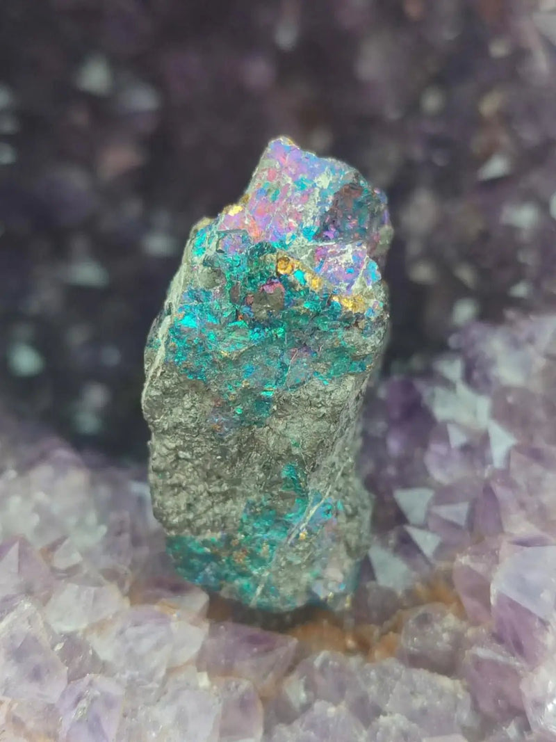 Chargez l&#39;image dans la visionneuse de la galerie, Bornite de Butte Montana - Pierre brute - Grade Prémium - Pierre de Transformation Bornite iridescente du Montana
