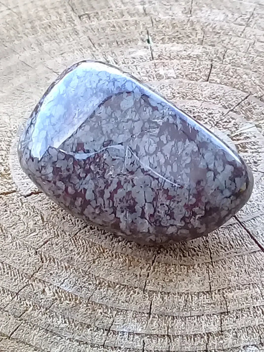 Bronzite de Birmanie pierre roulée Grade A++++ Bronzite de Birmanie pierre roulée