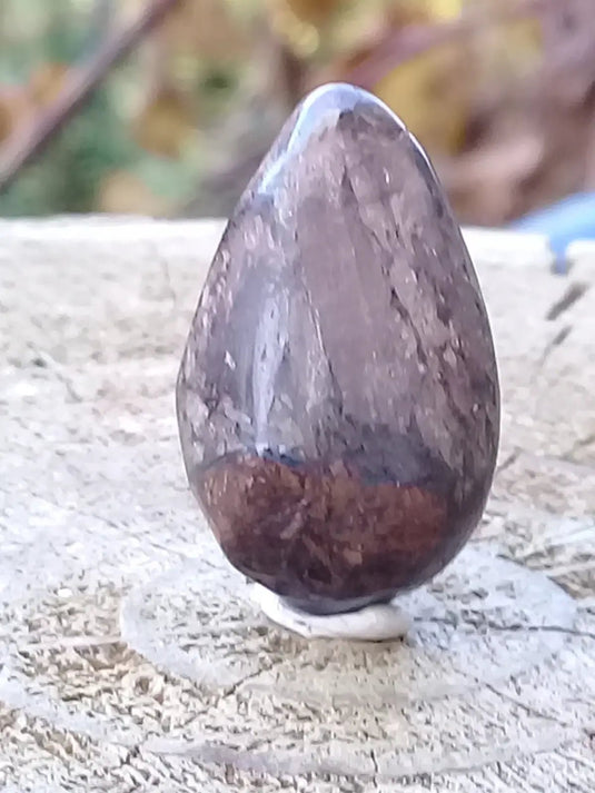 Bronzite de Birmanie pierre roulée Grade A++++ Bronzite de Birmanie pierre roulée