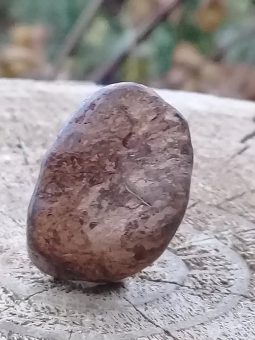 Bronzite de Birmanie pierre roulée Grade A++++ Bronzite de Birmanie pierre roulée