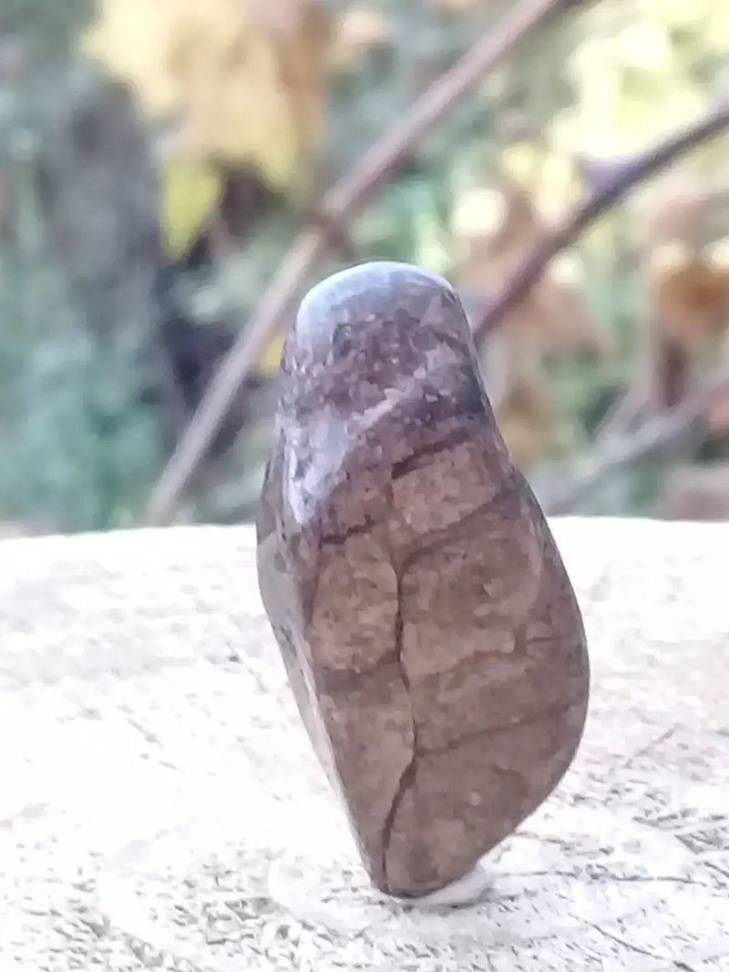 Load image into Gallery viewer, Bronzite de Birmanie pierre roulée Grade A++++ Bronzite de Birmanie pierre roulée
