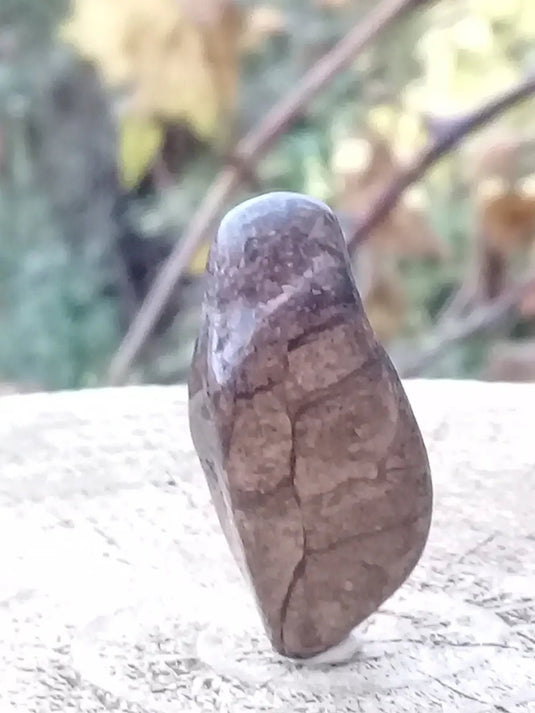 Bronzite de Birmanie pierre roulée Grade A++++ Bronzite de Birmanie pierre roulée