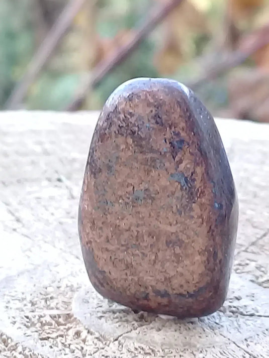 Bronzite de Birmanie pierre roulée Grade A++++ Bronzite de Birmanie pierre roulée