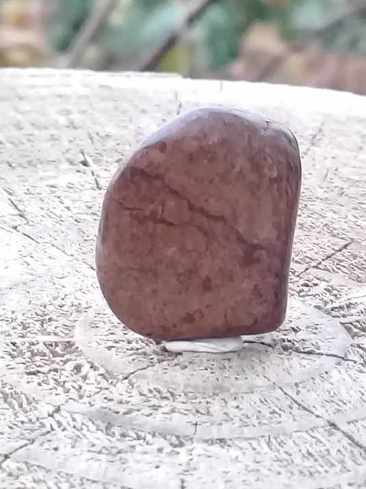 Bronzite de Birmanie pierre roulée Grade A++++ Bronzite de Birmanie pierre roulée