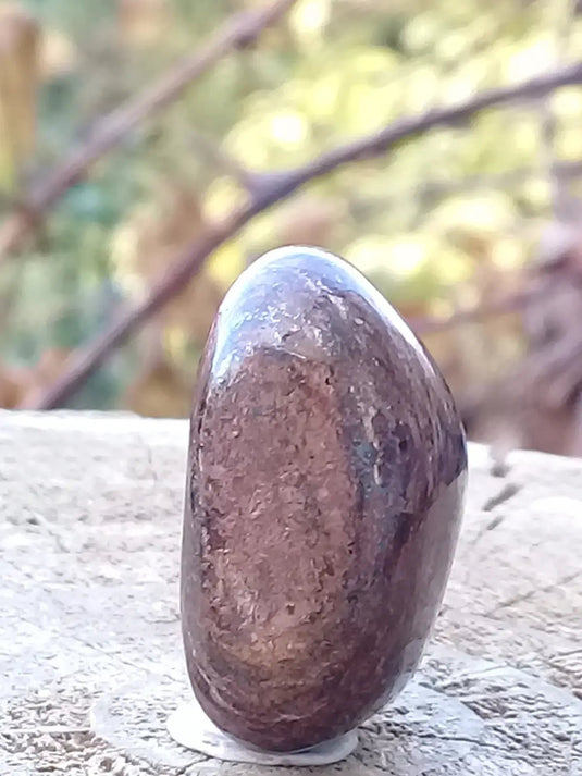 Bronzite de Birmanie pierre roulée Grade A++++ Bronzite de Birmanie pierre roulée