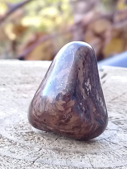 Bronzite de Birmanie pierre roulée Grade A++++ Bronzite de Birmanie pierre roulée