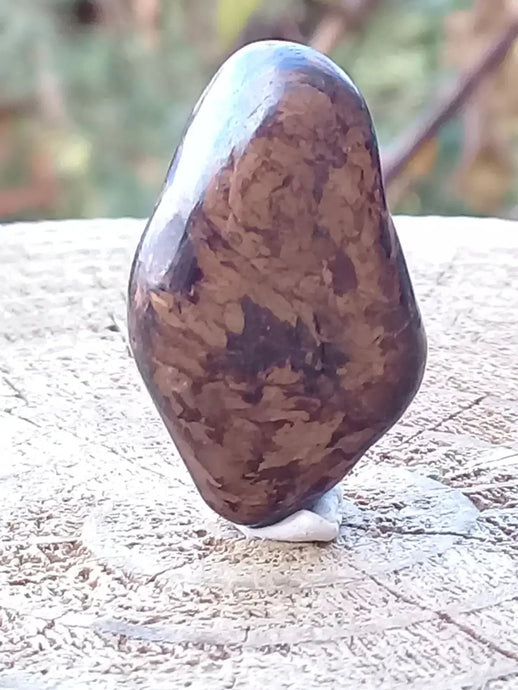 Bronzite de Birmanie pierre roulée Grade A++++ Bronzite de Birmanie pierre roulée