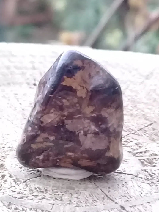 Bronzite de Birmanie pierre roulée Grade A++++ Bronzite de Birmanie pierre roulée