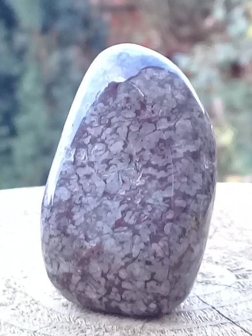 Bronzite de Birmanie pierre roulée Grade A++++ Bronzite de Birmanie pierre roulée